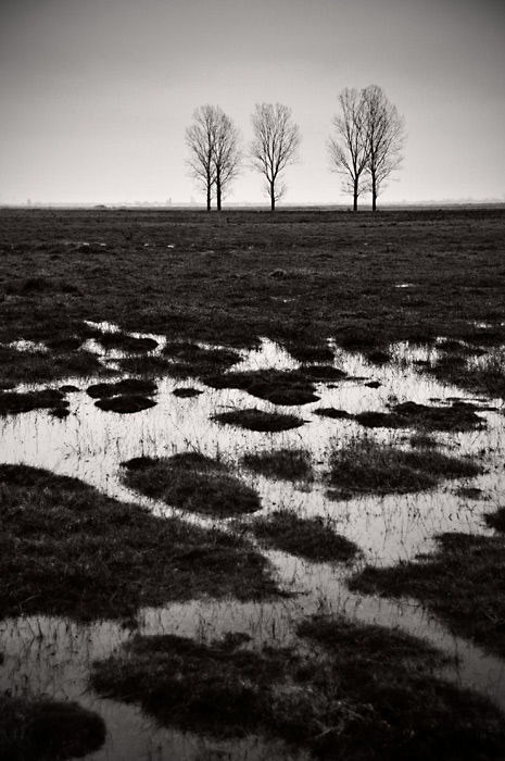Ponds Labyrinth